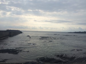 IMG_0880